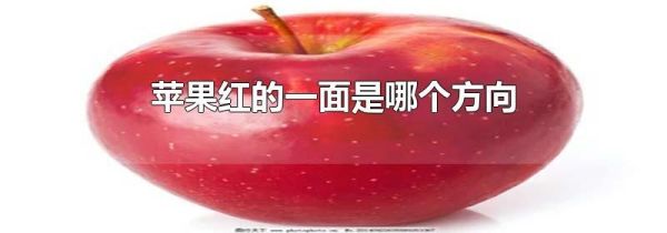 苹果红的一面是哪个方向