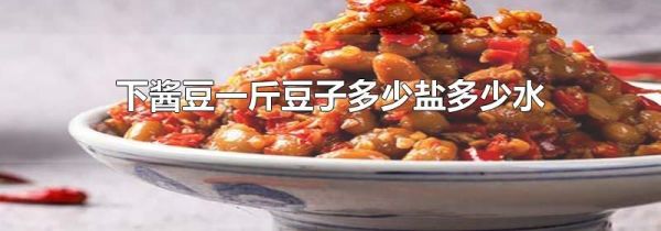 下酱豆一斤豆子多少盐多少水