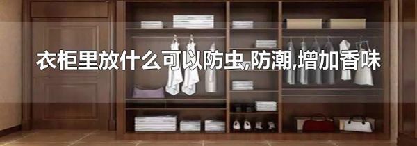 衣柜里放什么可以防虫,防潮,增加香味