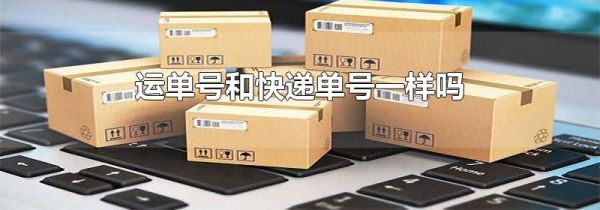 运单号和快递单号一样吗