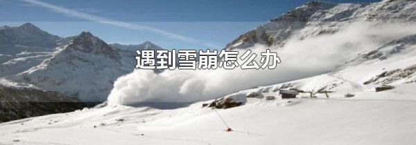遇到雪崩怎么办