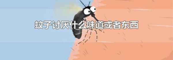蚊子讨厌什么味道或者东西