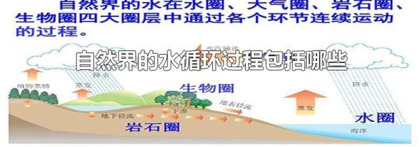 自然界的水循环过程包括哪些