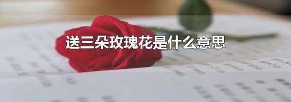 送三朵玫瑰花是什么意思