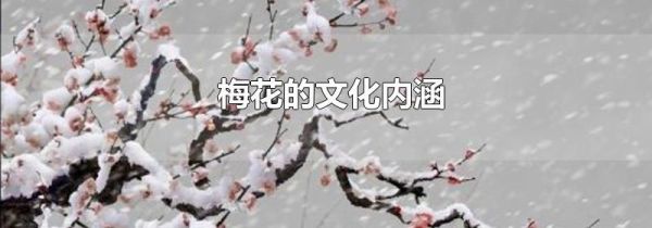 梅花的文化内涵