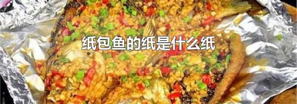 纸包鱼的纸是什么纸