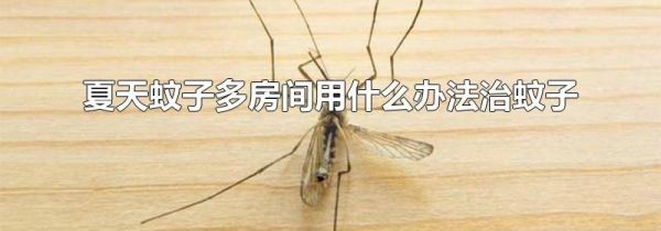 夏天蚊子多房间用什么办法治蚊子