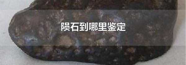 陨石到哪里鉴定