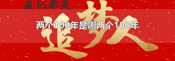 两个100年是哪两个100年