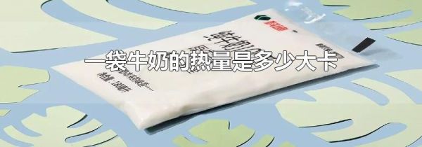 一袋牛奶的热量是多少大卡