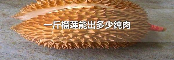 一斤榴莲能出多少纯肉