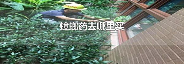 蟑螂药去哪里买
