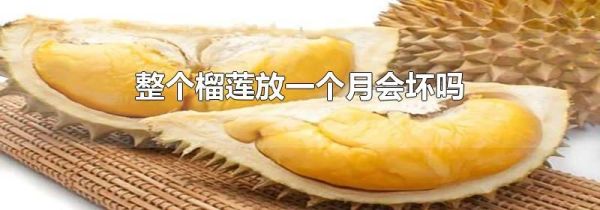 整个榴莲放一个月会坏吗