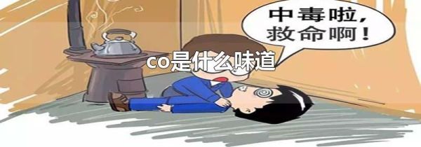 co是什么味道