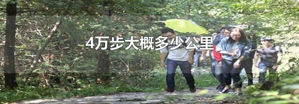 4万步大概多少公里