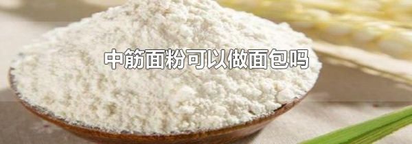 中筋面粉可以做面包吗
