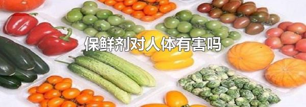 保鲜剂对人体有害吗