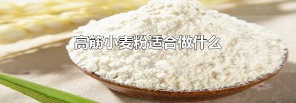 高筋小麦粉适合做什么