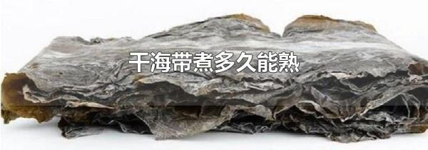 干海带煮多久能熟