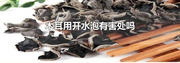 木耳用开水泡有害处吗