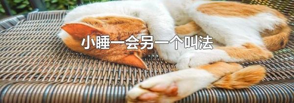 小睡一会另一个叫法