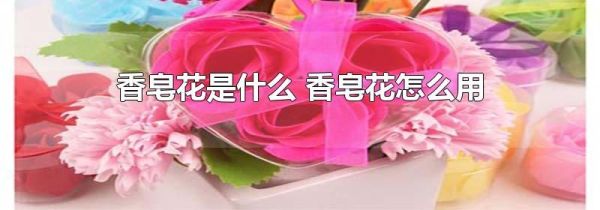 香皂花是什么 香皂花怎么用