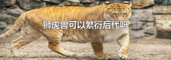 狮虎兽可以繁衍后代吗