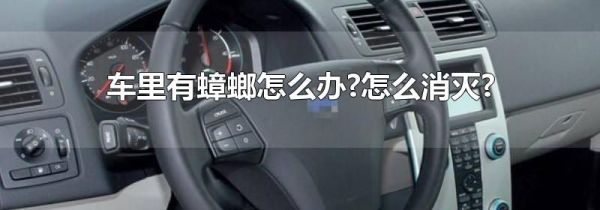 车里有蟑螂怎么办?怎么消灭?