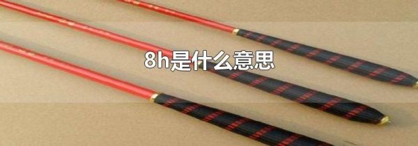 8h是什么意思