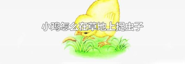小鸡怎么在草地上捉虫子