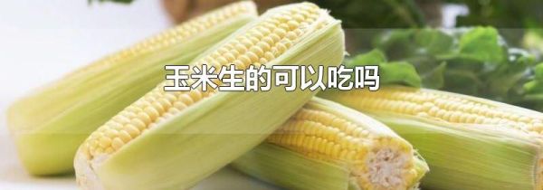 玉米生的可以吃吗