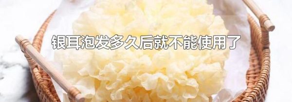 银耳泡发多久后就不能使用了