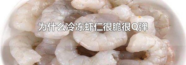 为什么冷冻虾仁很脆很Q弹