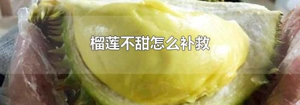 榴莲不甜怎么补救