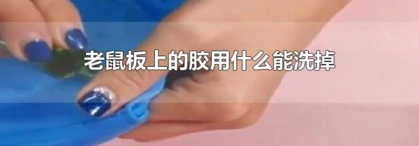 老鼠板上的胶用什么能洗掉