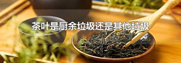 茶叶是厨余垃圾还是其他垃圾
