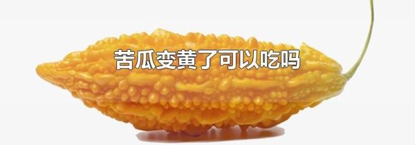 苦瓜变黄了可以吃吗