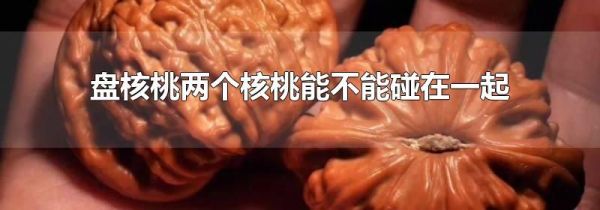 盘核桃两个核桃能不能碰在一起