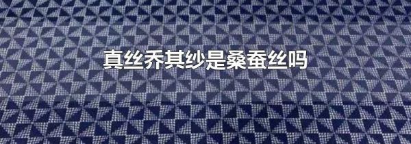 真丝乔其纱是桑蚕丝吗