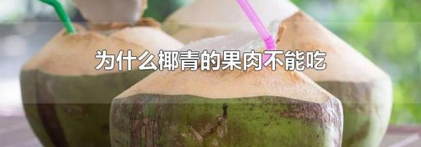 为什么椰青的果肉不能吃