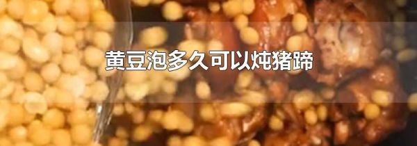 黄豆泡多久可以炖猪蹄