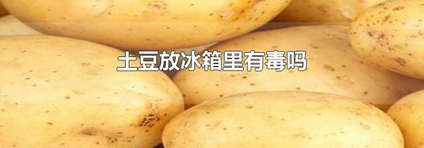 土豆放冰箱里有毒吗