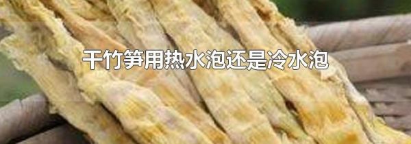 干竹笋用热水泡还是冷水泡