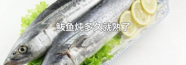 鲅鱼炖多久就熟了