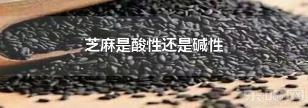 芝麻是酸性还是碱性