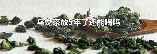 乌龙茶放5年了还能喝吗