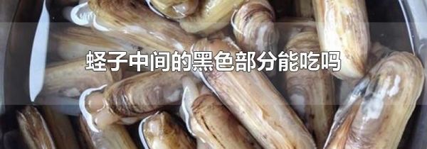 蛏子中间的黑色部分能吃吗