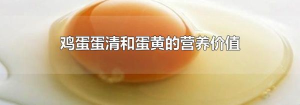 鸡蛋蛋清和蛋黄的营养价值