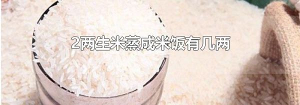 2两生米蒸成米饭有几两