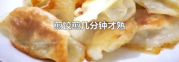 煎饺煎几分钟才熟